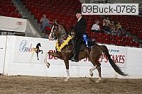 09buck-0766 proof