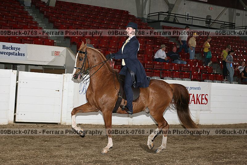 Proof 09buck-0768