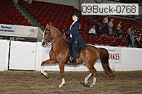 09buck-0768 proof