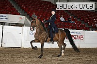 09buck-0769 proof