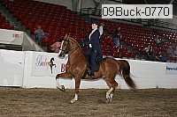 09buck-0770 proof