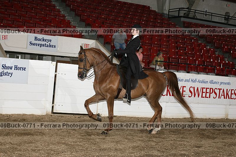 Proof 09buck-0771