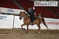 09buck-0771 proof