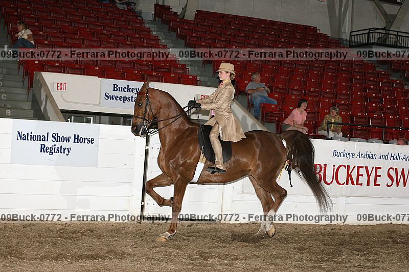Proof 09buck-0772