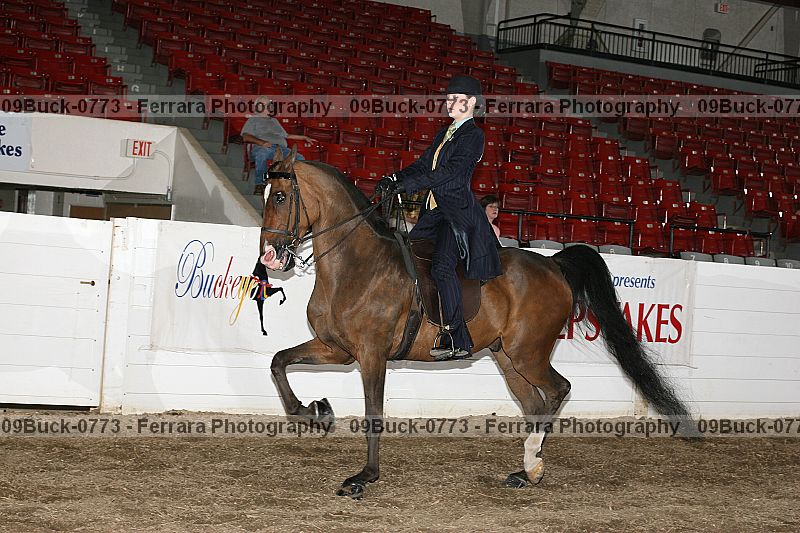 Proof 09buck-0773