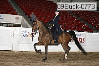 09buck-0773 proof
