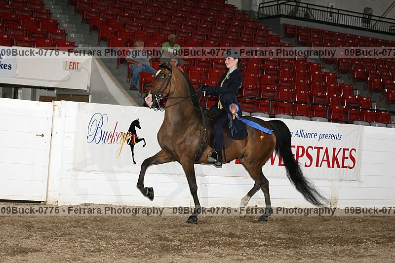 Proof 09buck-0776