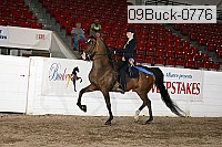 09buck-0776 proof