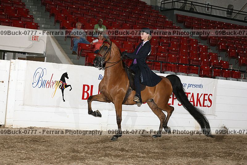 Proof 09buck-0777
