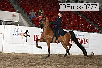 09buck-0777 proof