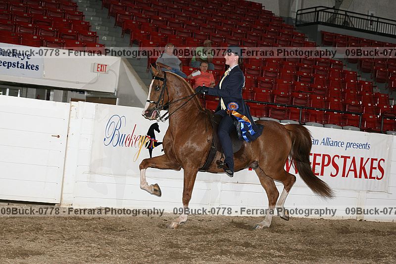 Proof 09buck-0778