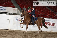 09buck-0778 proof