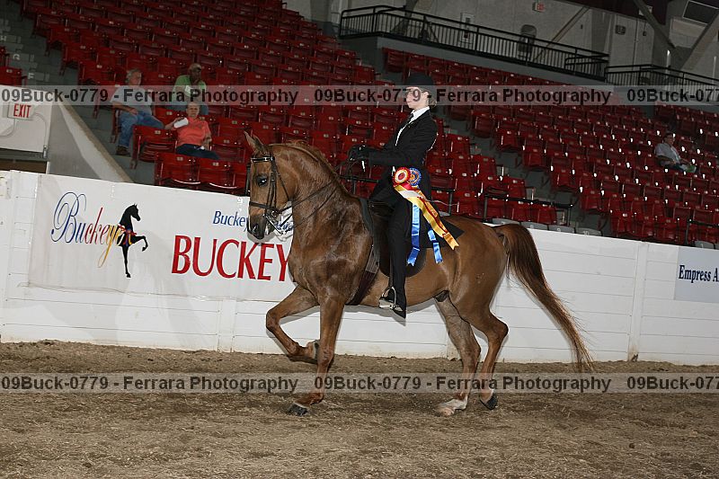 Proof 09buck-0779