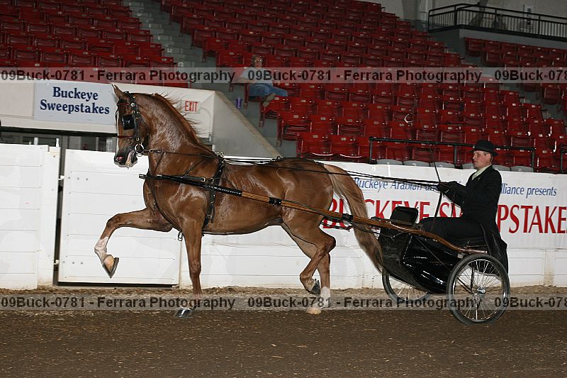 Proof 09buck-0781