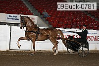 09buck-0781 proof