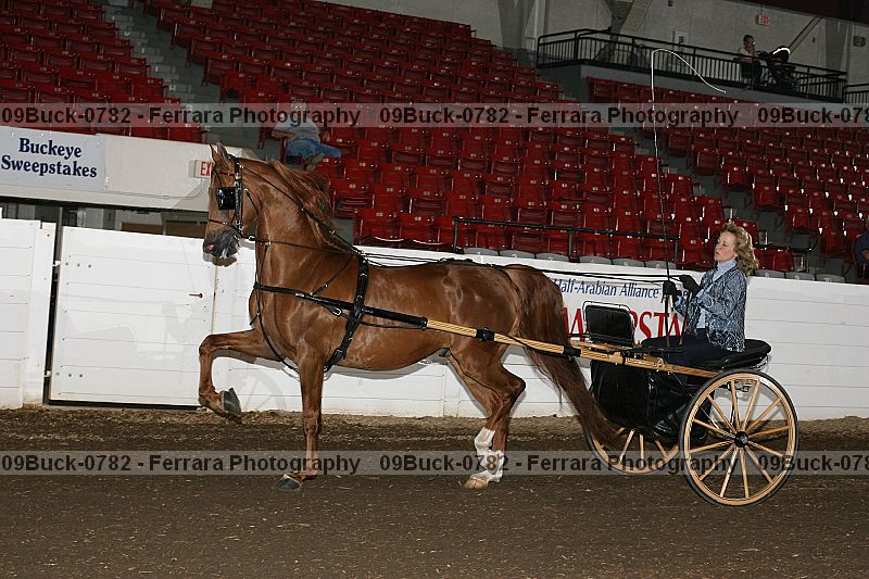 Proof 09buck-0782