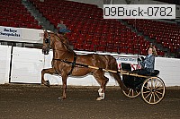 09buck-0782 proof