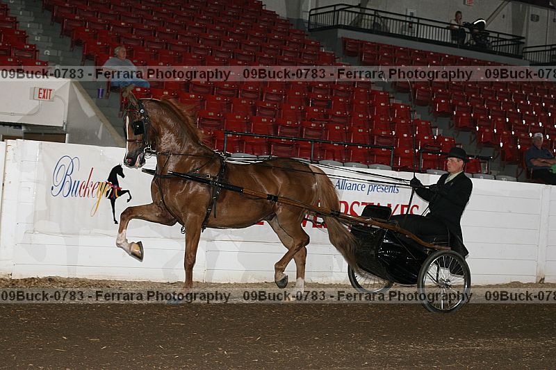 Proof 09buck-0783