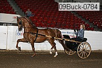 09buck-0784 proof