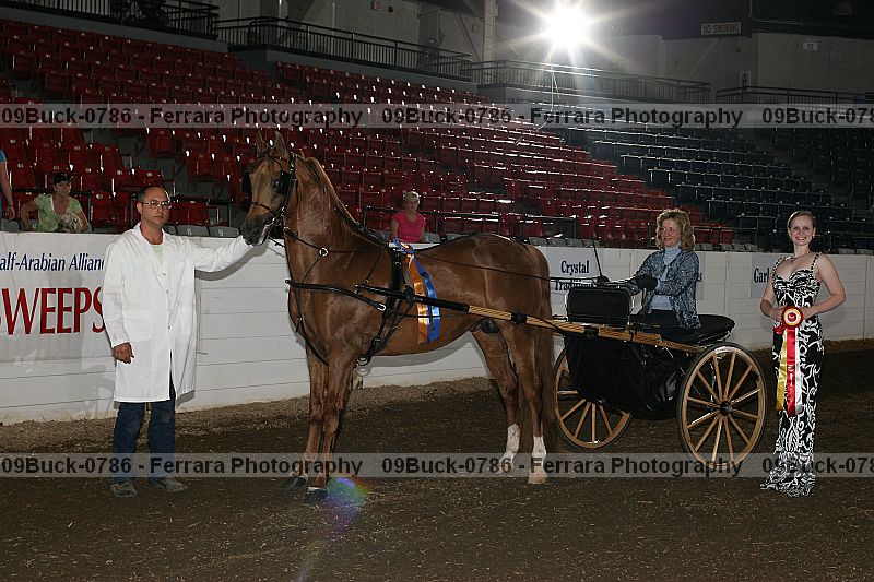 Proof 09buck-0786