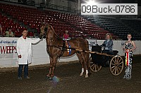 09buck-0786 proof