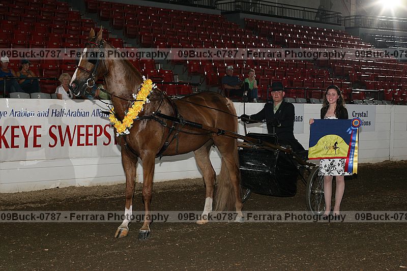 Proof 09buck-0787