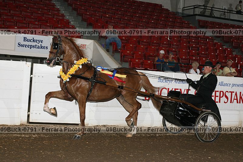 Proof 09buck-0791