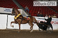 09buck-0791 proof