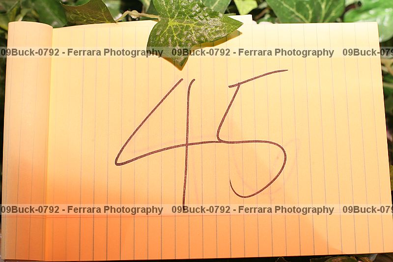 Proof 09buck-0792
