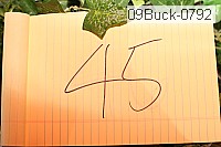 09buck-0792 proof