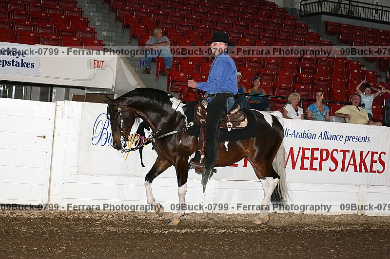 Proof 09buck-0799