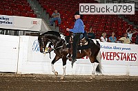 09buck-0799 proof
