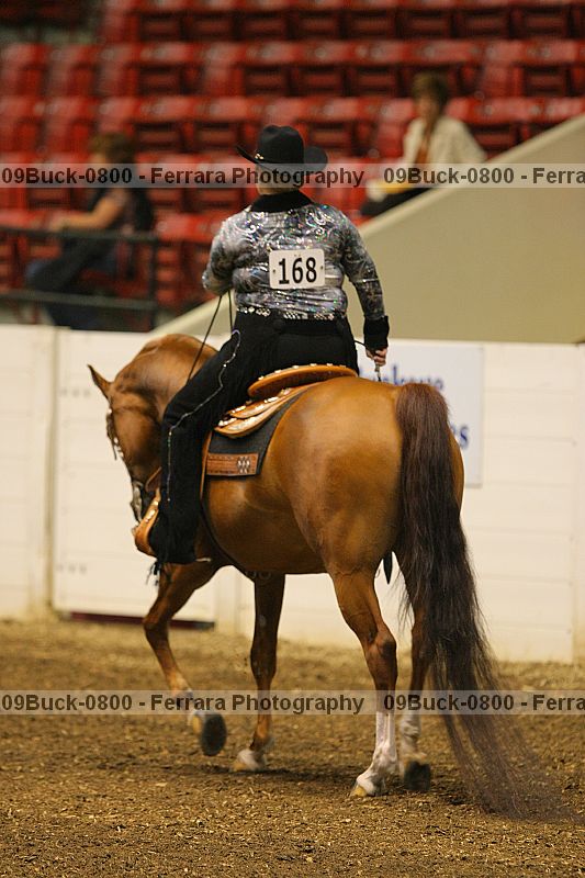 Proof 09buck-0800