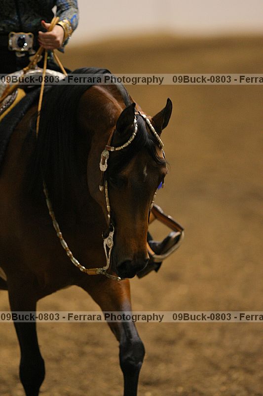 Proof 09buck-0803
