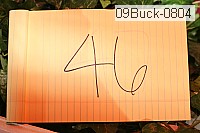 09buck-0804 proof