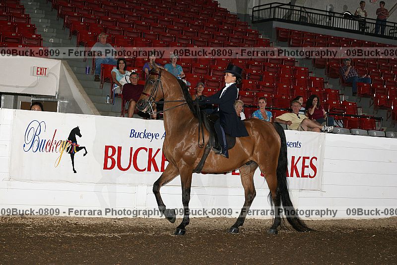 Proof 09buck-0809