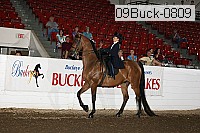 09buck-0809 proof