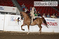 09buck-0833 proof