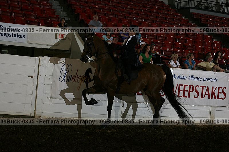 Proof 09buck-0835
