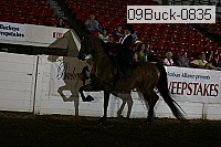 09buck-0835 proof