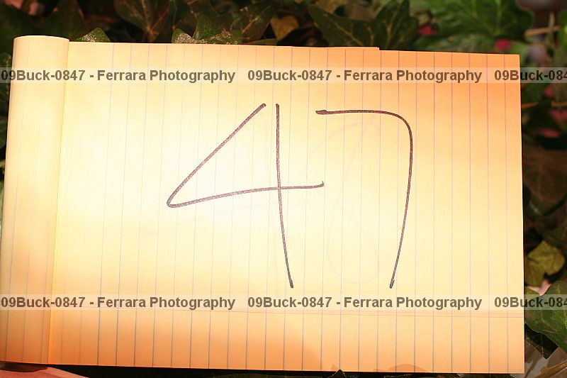 Proof 09buck-0847