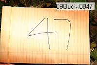 09buck-0847 proof
