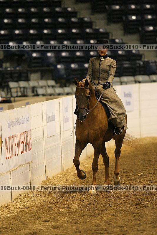 Proof 09buck-0848