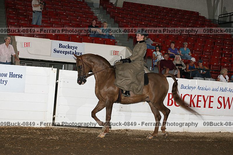 Proof 09buck-0849