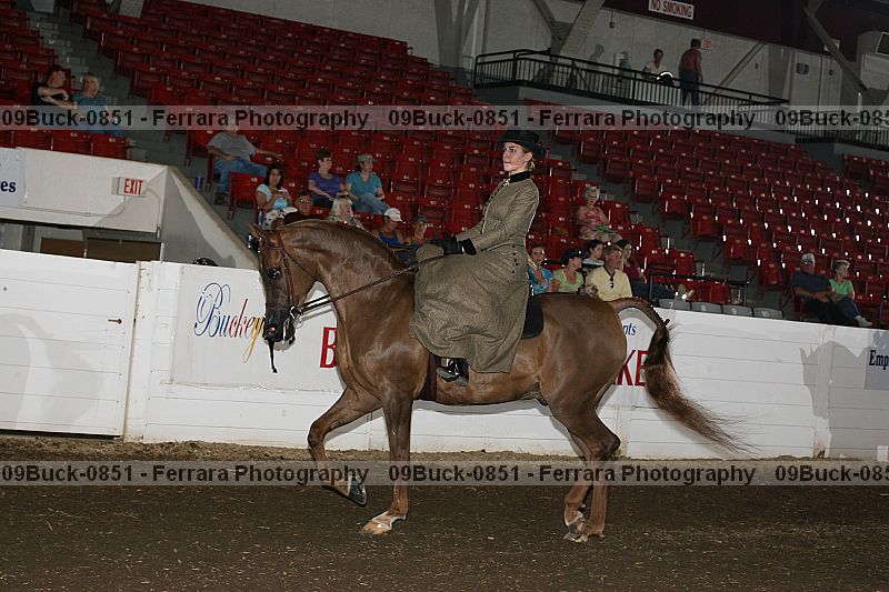 Proof 09buck-0851