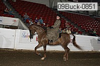 09buck-0851 proof