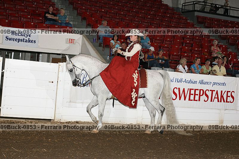 Proof 09buck-0853