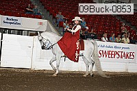 09buck-0853 proof