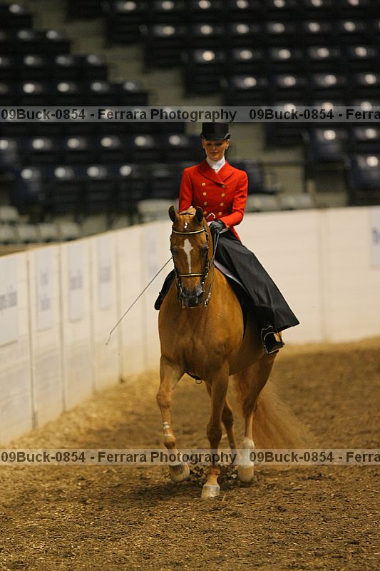 Proof 09buck-0854