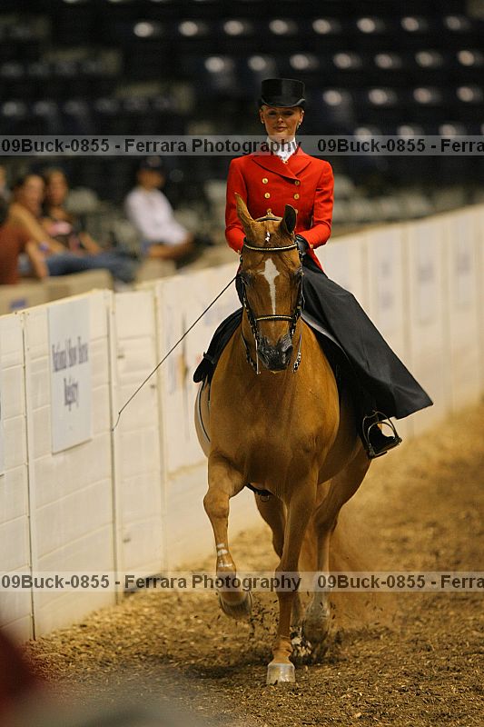 Proof 09buck-0855